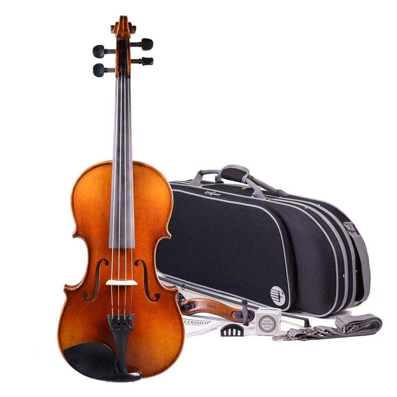 The development of the modern violin stems from early types of instruments available-example-1