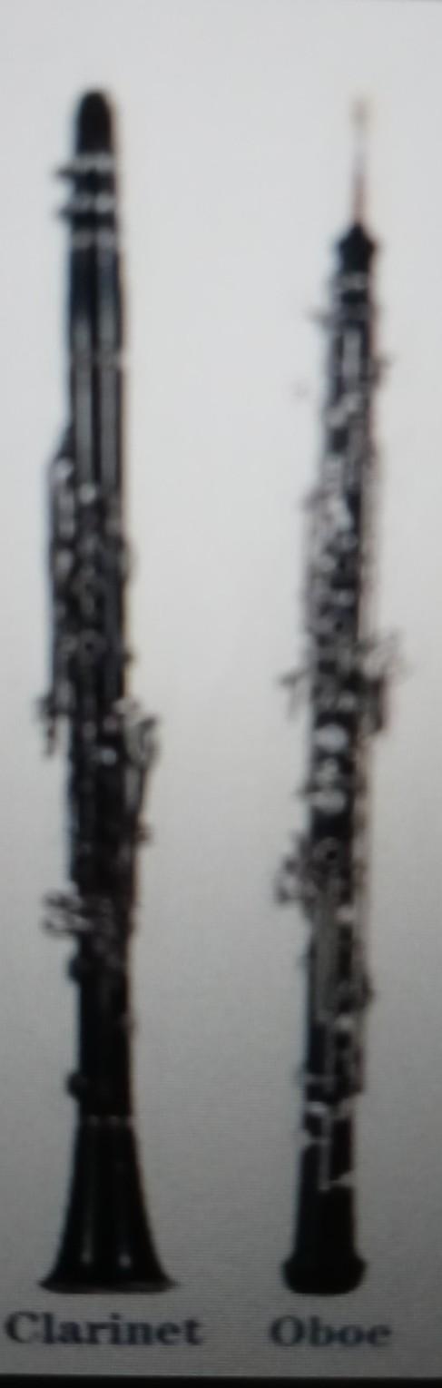 Oboe 6. Which instrument looks similar to the Oboe, but is considered easier to con-example-1