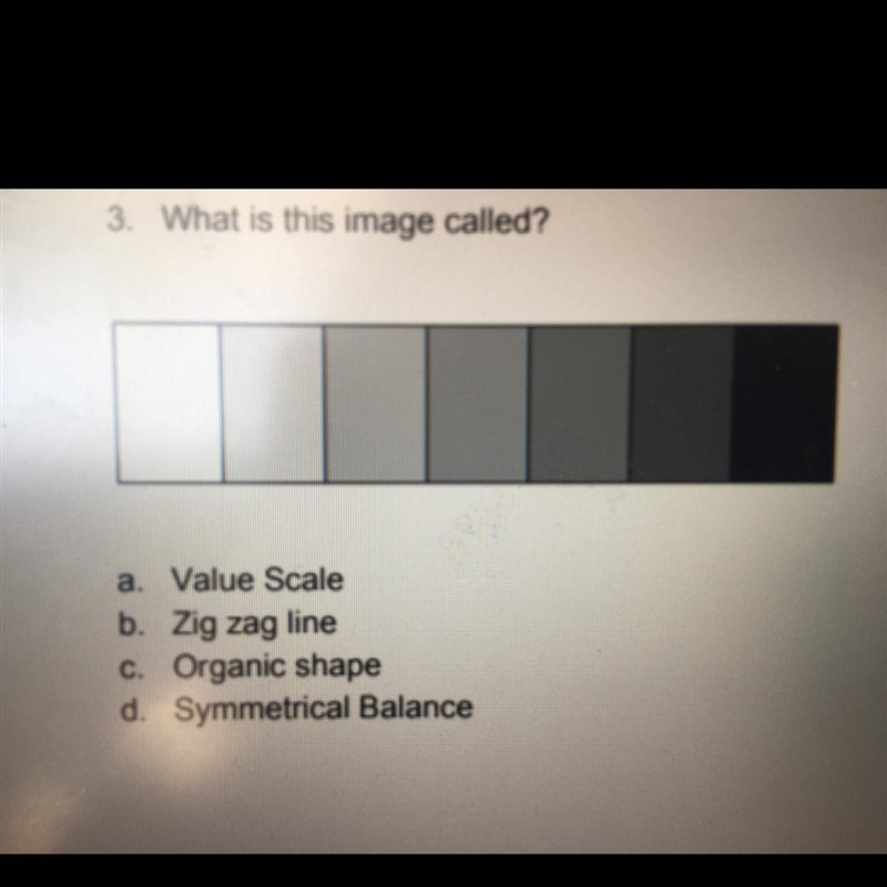 [ASAP LOOK AT PICTURE] What is this image called? a. Value Scale b. Zig zag line c-example-1