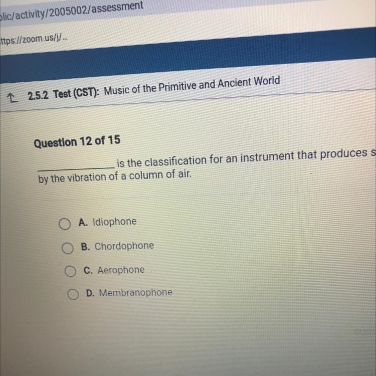 Is the classification for an instrurment that produces sound by the vibration of a-example-1