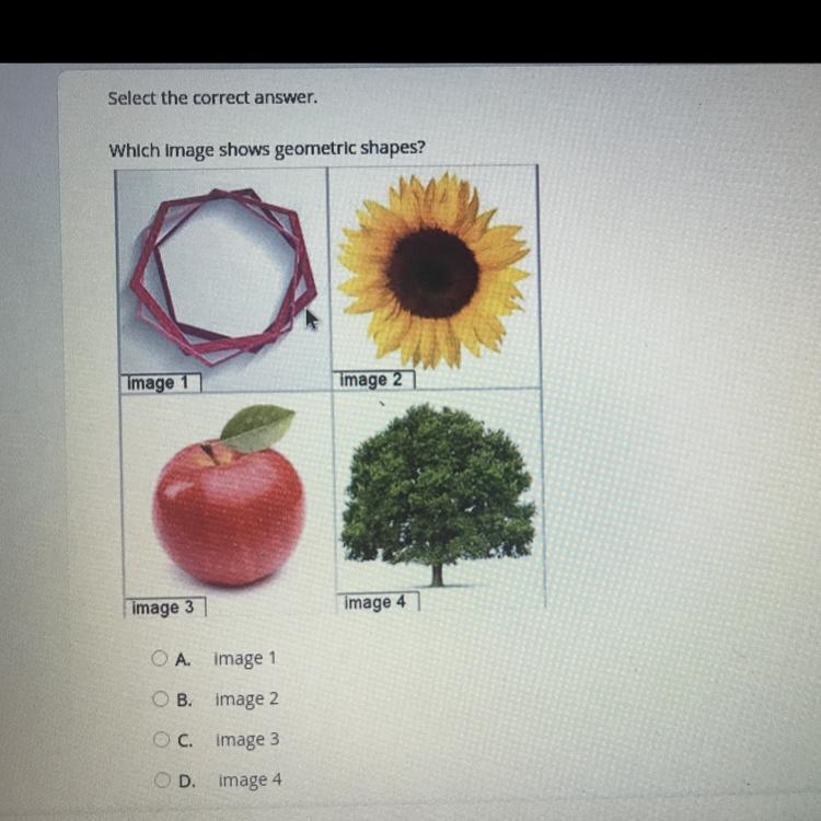 Please help!!! Worth 30 points-example-1