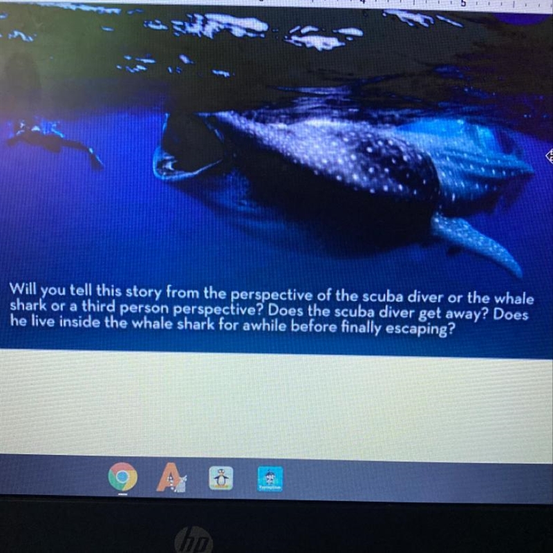 Will you tell this story from the perspective of the scuba diver or the whale shark-example-1