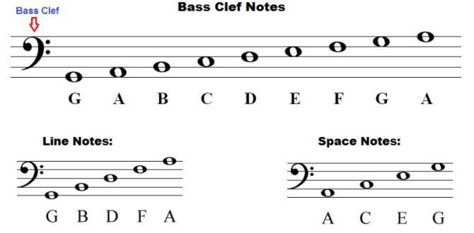 I basically need to “name and fill in the notes” can someone help me please?-example-1