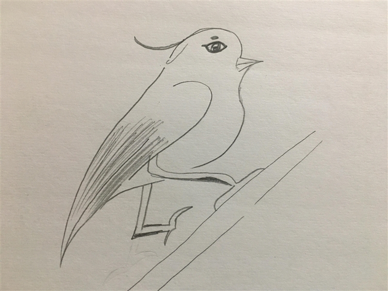 Can someone draw a detailed bird for me right now?-example-1