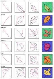 How to draw fall leaves-example-1