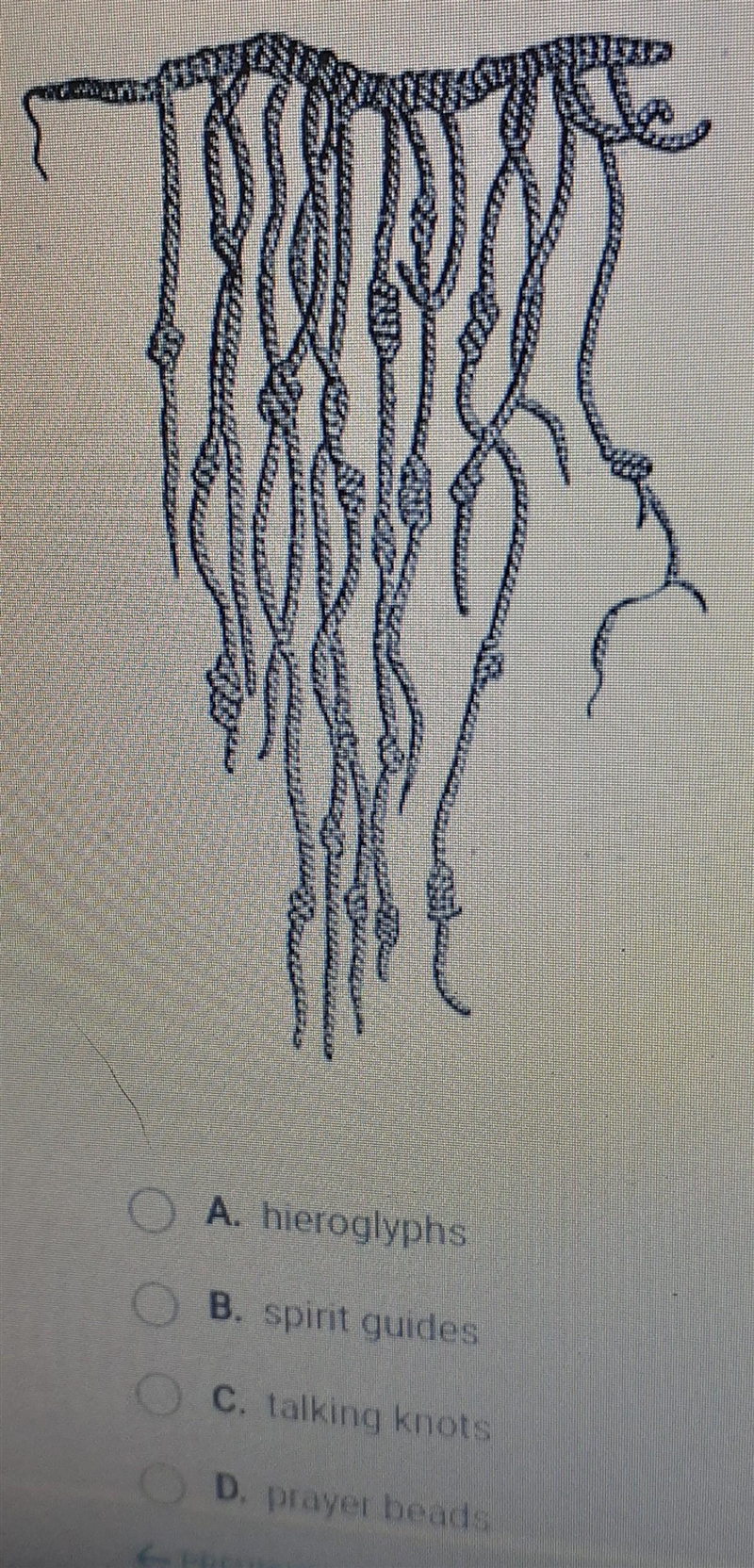 Look at this drawing of an Inca quipu. These recording devices were known A. hieroglyphs-example-1