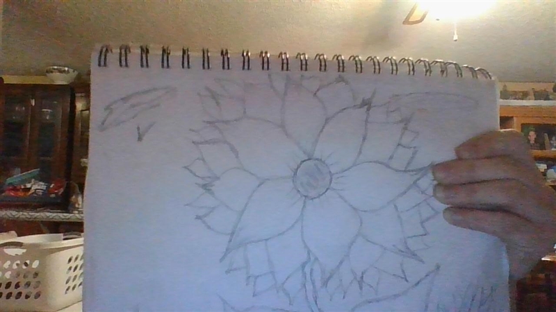 I hope you like my drawings I drew!!!-example-3