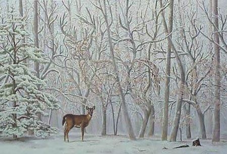 How many deer are in this picture?-example-1