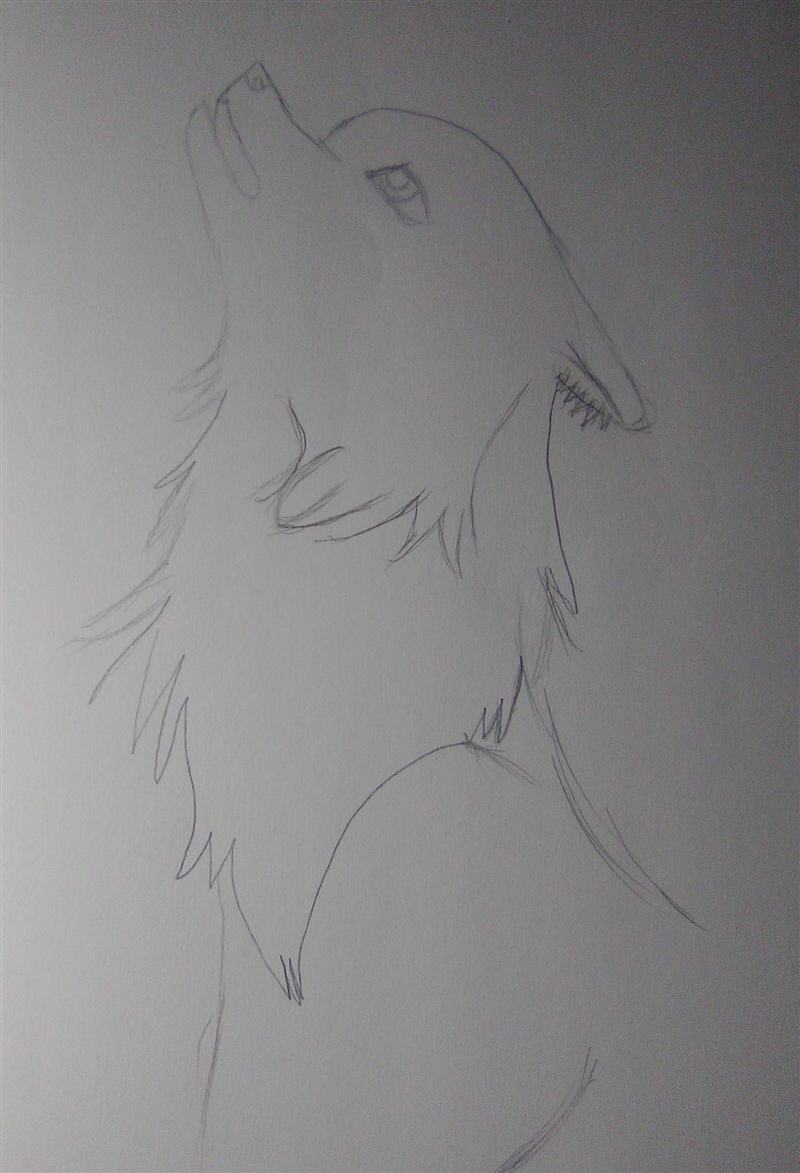 This is the first time I drawed a wolf so tell me how I did. ​-example-1