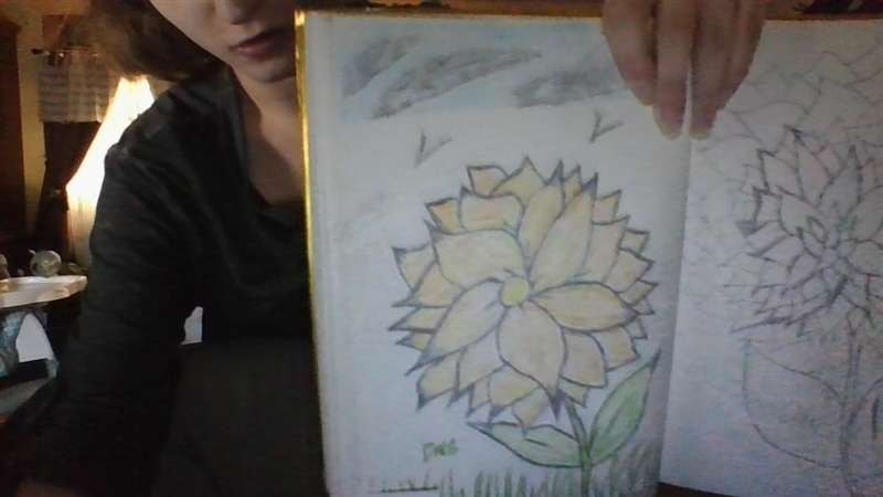 I drew this! What do you all think?-example-1