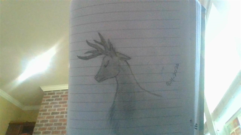 How do you like my deer?-example-1