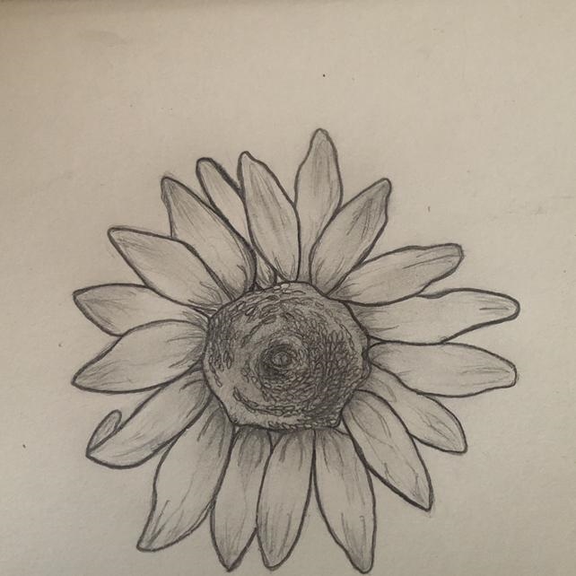 hey could someone please draw a butterfly or a flower or something like that using-example-1