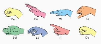 Question 5 (1 point) If your hand is flat in front of you as if you're about to slap-example-1