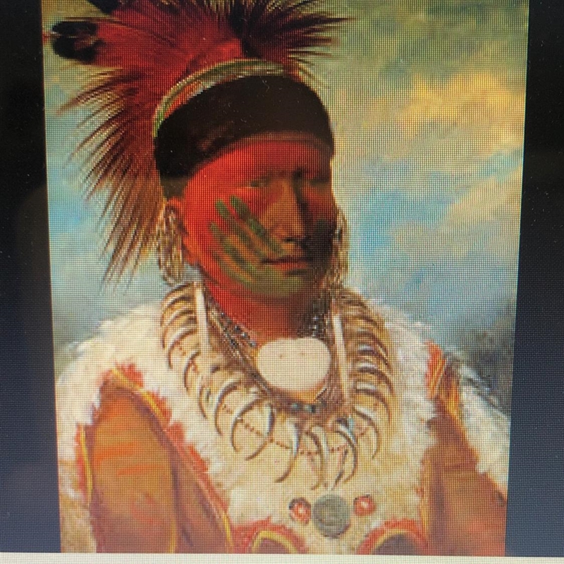 Unline Content Site 1 Why would the artist George Catlin's paintings from the 1800s-example-1