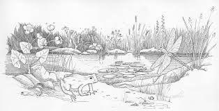 Draw an artistic pond-example-1