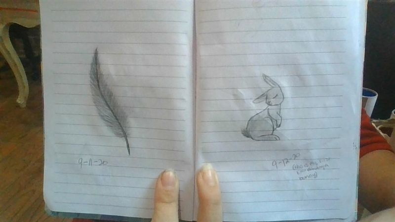 Here is the bunny and the feather. Hope u like it!-example-1