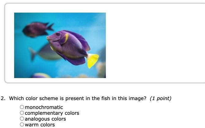 Plz help me on this work problem idk about colors-example-1