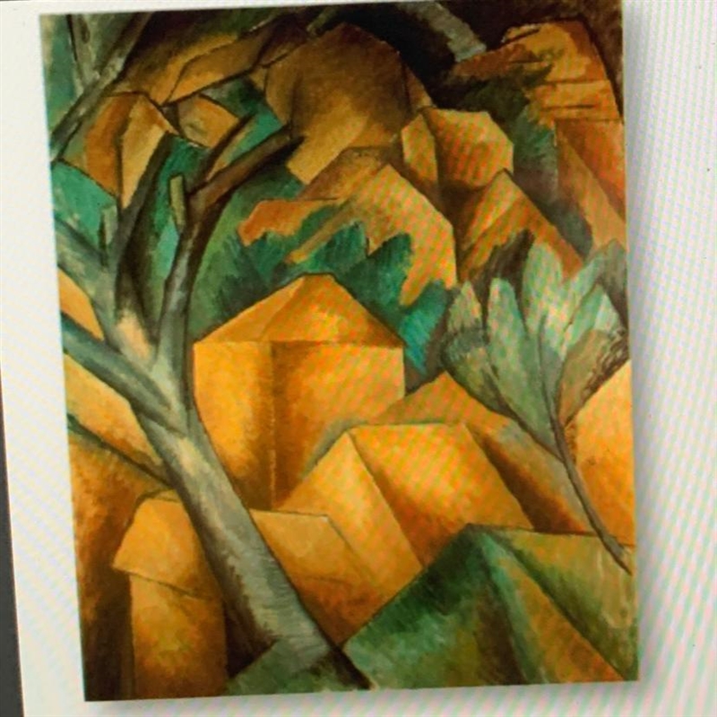 Why do you think Braque liked Fauvism, and what do you think he borrowed from the-example-1