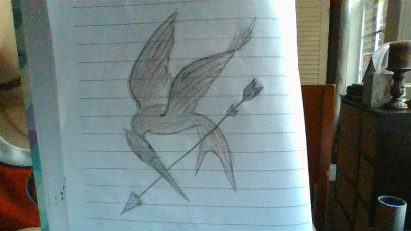 Here is the mockingjay from The Hunger Games(one of my favorites!) (ﾉ◕ヮ◕)ﾉ*:・ﾟ✧ ✧ﾟ・: *ヽ(◕ヮ◕ヽ)-example-1