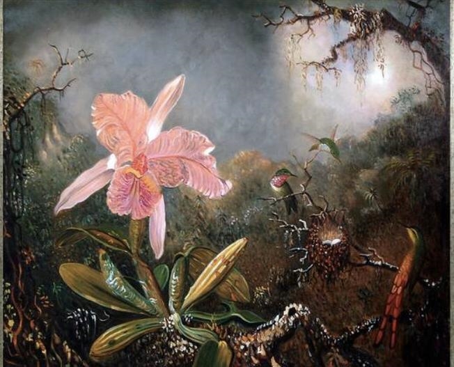 Describe the texture of the artwork “Cattleya Orchid and Three Hummingbirds by Martin-example-1