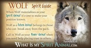 Spirit animals and their meanings~ I only chose a few, because I don't need a bunch-example-1