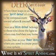 Spirit animals and their meanings~ I only chose a few, because I don't need a bunch-example-4