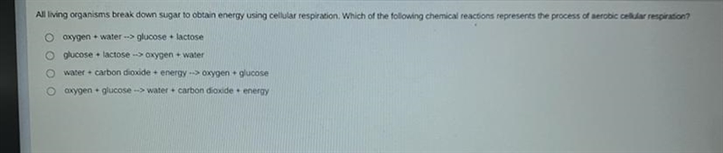 All living organisms break down sugar to obtain energy using cellular respiration-example-1