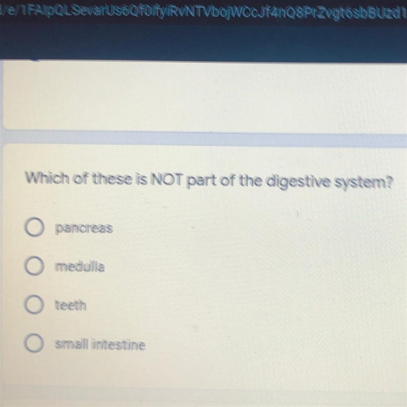 Which of these is NOT part of the digestive system? pancreas medulla teeth small intestine-example-1