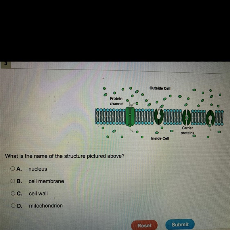 Solve this pls pls pls-example-1