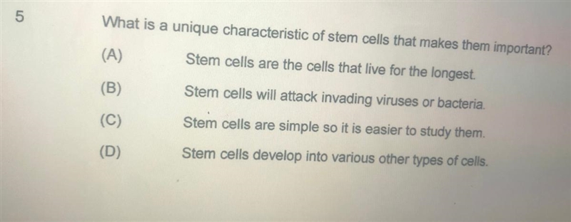 What is a unique characteristic of stem cells that makes them important-example-1