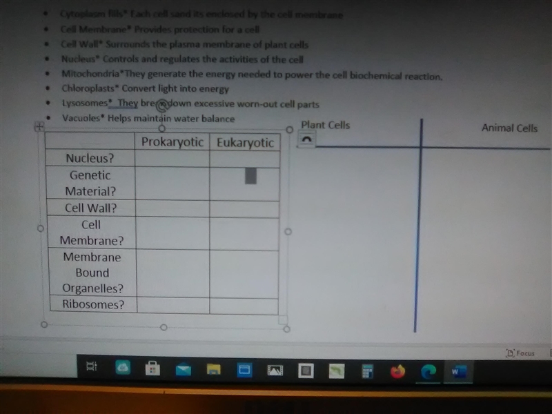 How do I fill out the bottom half of the 3.16 cells-example-1