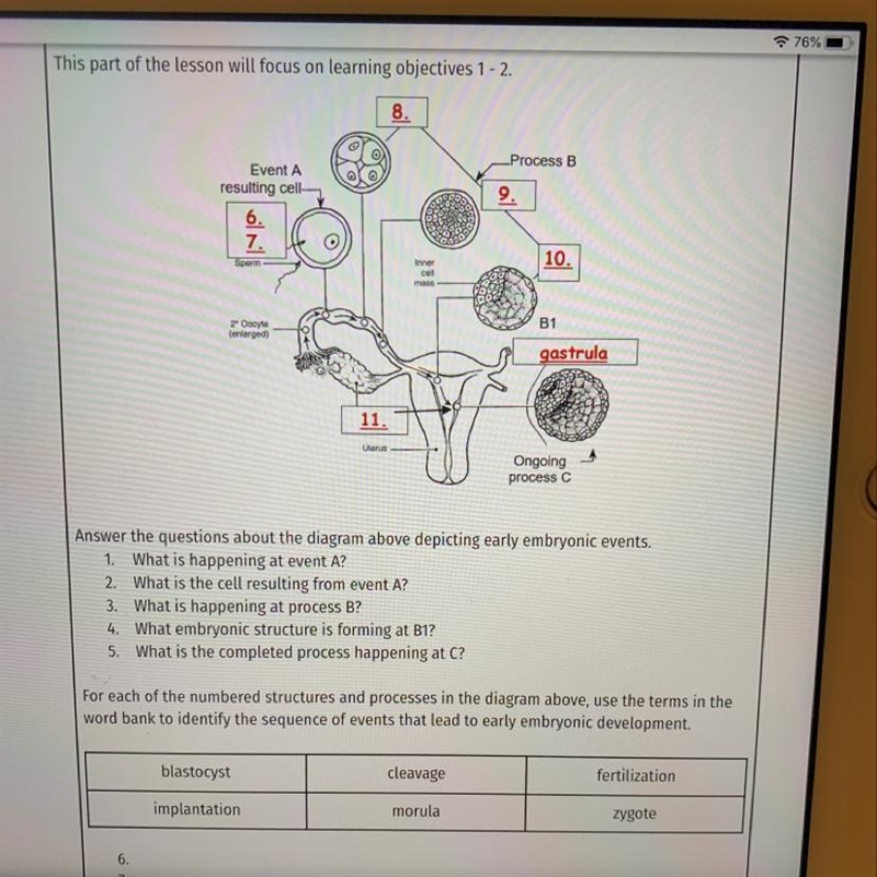 Answer the questions about the diagram above depicting early embryonic events. 1. What-example-1