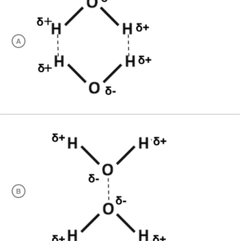 Which of the following is the most likely way that two water molecules will interact-example-1