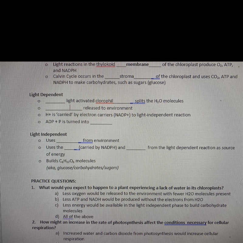 OHELP PLEASE HELP PLZ HELP Light Dependent light activated clorophil splits the H-example-1