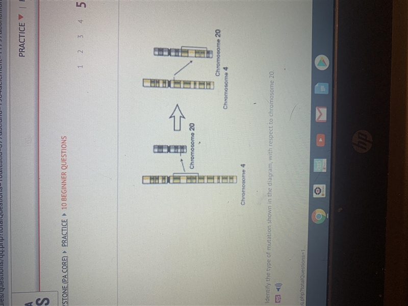 Identify the type of mutation shown in the diagram, with respect to chromosome 20-example-1