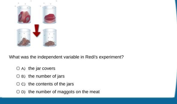 ANSWER AND EXPLAIN PLZ:)-example-3