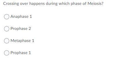 5 short multiple-choice questions that I have been stuck on for half an hour now!! PLEASE-example-2