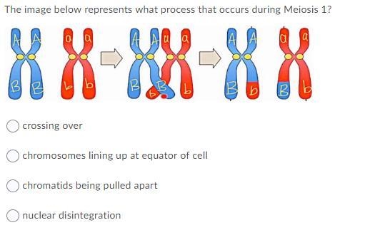 5 short multiple-choice questions that I have been stuck on for half an hour now!! PLEASE-example-3