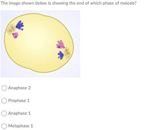 5 short multiple-choice questions that I have been stuck on for half an hour now!! PLEASE-example-4