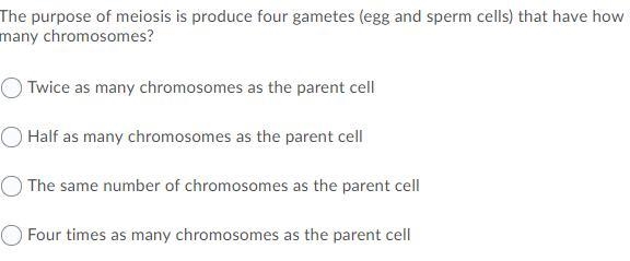 5 short multiple-choice questions that I have been stuck on for half an hour now!! PLEASE-example-5