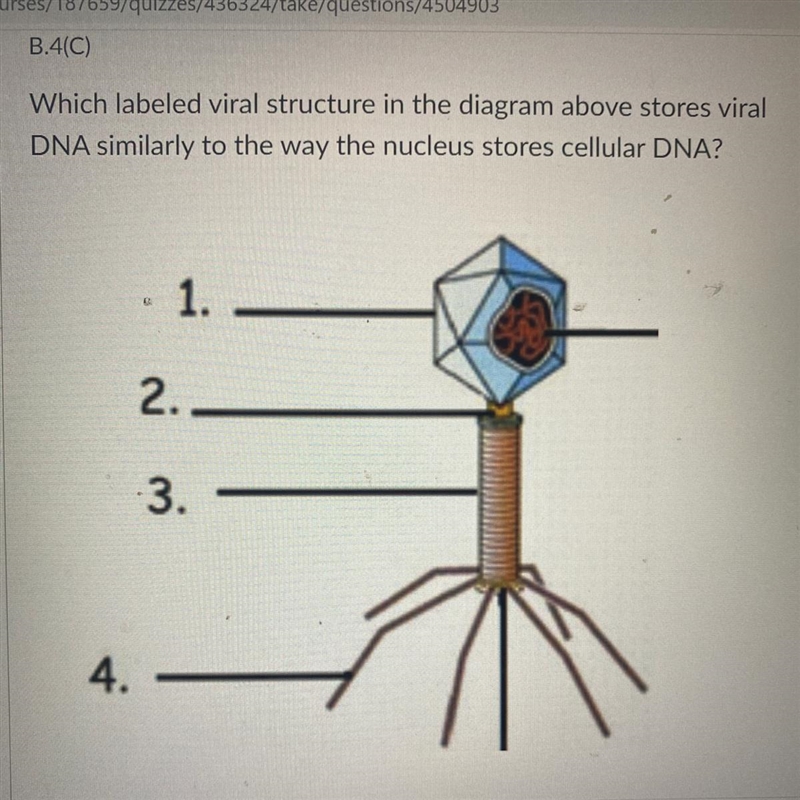 Biology 9th grade question-example-1