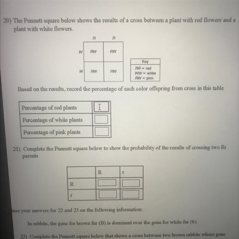 The Punnett square below shows the results of a cross between a plant with red flowers-example-1