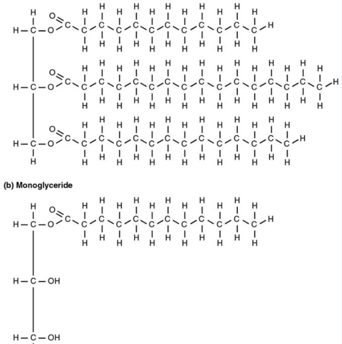 What is the structure shown in the figure? Carbohydrates Proteins Lipids Nucleic Acids-example-1