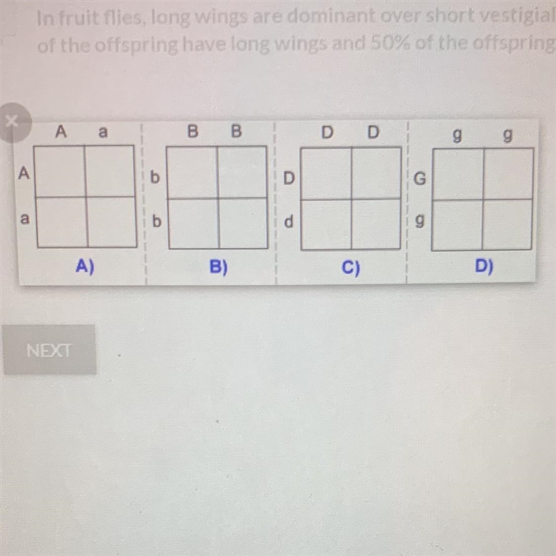 In fruit flies, long wings are dominant over short vestigial wings. Which punnet square-example-1