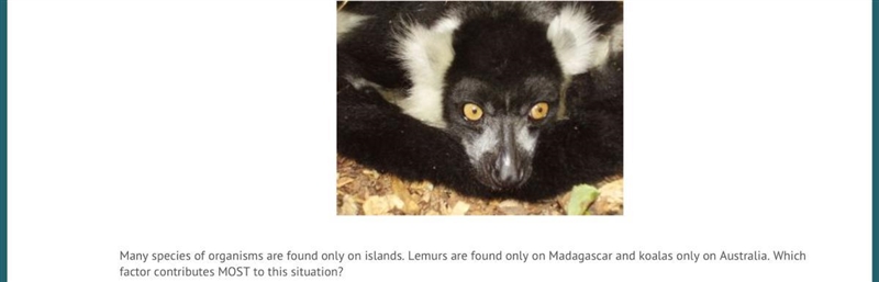 Many species of organisms are found only on islands. Lemurs are found only on Madagascar-example-1