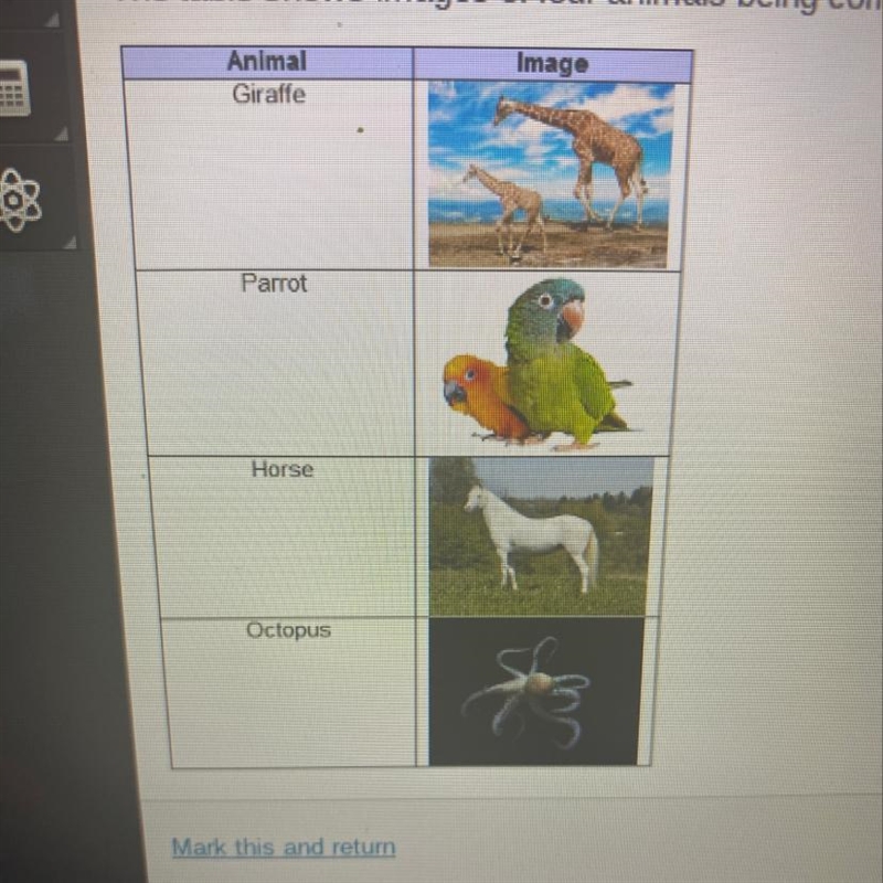 The table shows images of four animals being compared Which animals share the characteristic-example-1