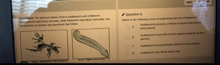 Please help! Timed! Which of the following is true of nudibranchs but not of flatworms-example-1