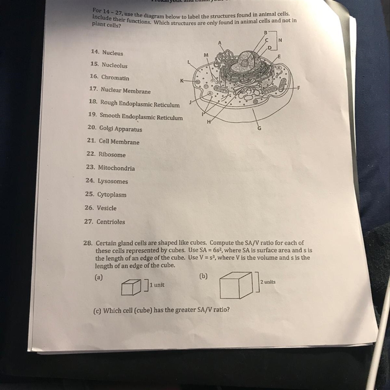 Help please 14-28!! it’s biology-example-1