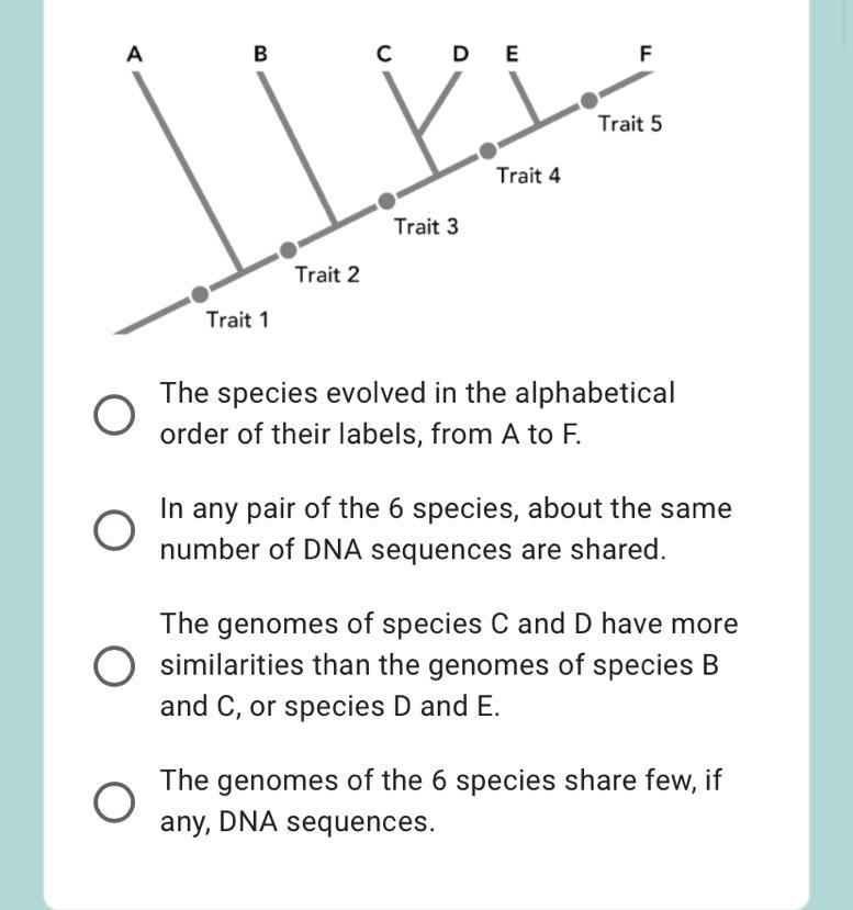 Vanessa is studying 6 species of butterflies, which she codes with the letters A to-example-1