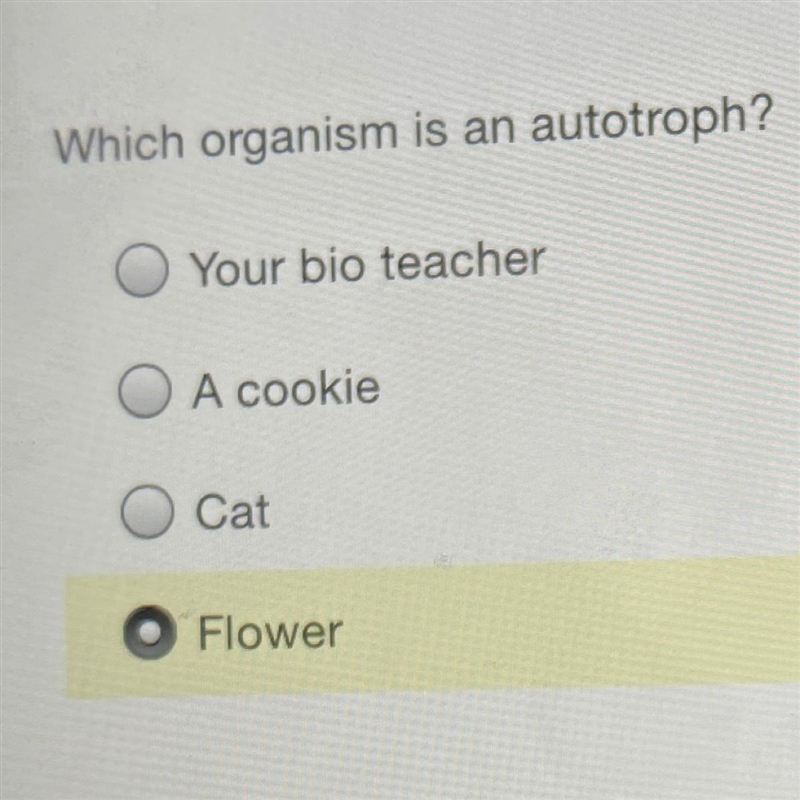 Which organism is an autotroph?-example-1